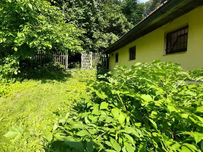 a yard with a house with a fence and plants at Apartman Lucie in Liběchov