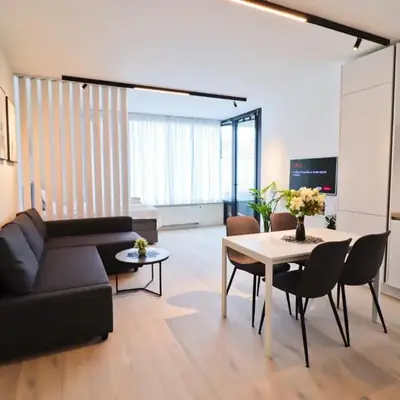 Sunny Apartment in Smichov