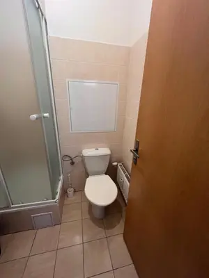 a bathroom with a toilet and a glass shower at Studio Prosecká vyhlídka in Prague