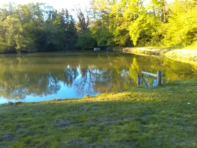 a bench sitting in the grass next to a pond at Apartmán Srubík in Čisovice