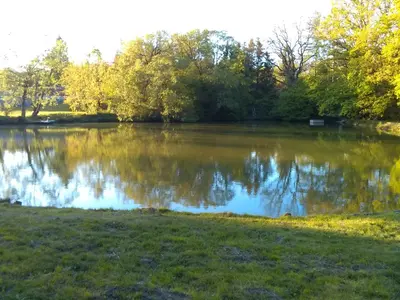 a large lake with trees in the background at Apartmán Srubík in Čisovice