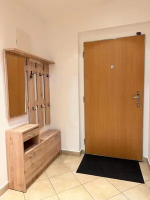 a bathroom with a wooden door and a tiled floor at IOS Garden in Prague