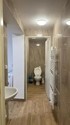 a bathroom with a toilet and a sink at 布拉格城堡公寓 in Rudná