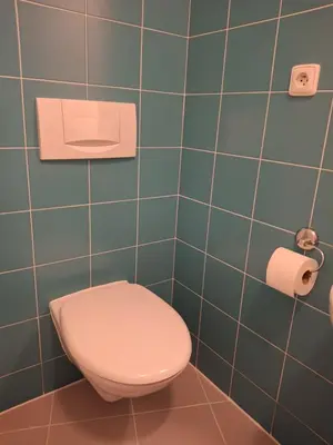 a bathroom with a toilet and a roll of toilet paper at Apartmán Hajní 1368 in Prague