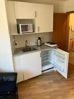 a small kitchen with a sink and a microwave at Apartmán Hajní 1368 in Prague