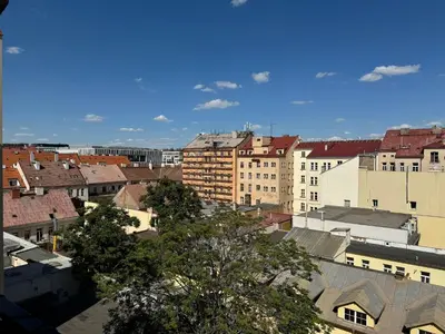 a view of a city with buildings at Vitkova Duplex apartment with terrace near Florenc in Prague
