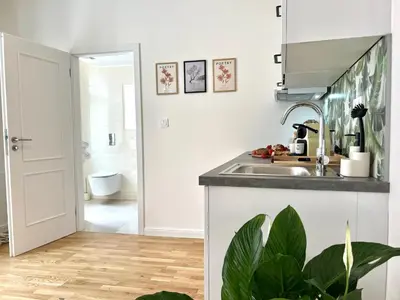 a kitchen with a sink and a bathroom at Treetess City Centre Prague Apartments in Prague