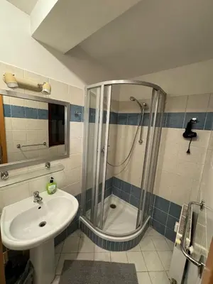 a bathroom with a shower and a sink at 1 Bed Flat - Sleeps 4 - Pets - Smoking on terrace in Prague