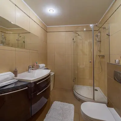 a bathroom with a shower and a sink and a toilet at DiamondHouse vila & wellness in Kolín