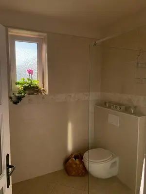 a bathroom with a toilet and a window at Apartment Nedamov in Dubá