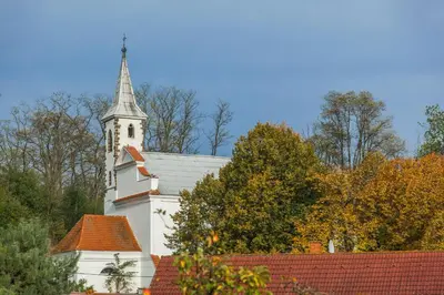 a white church with a steeple on top of trees at Chalupa pod Řípem in Straškov