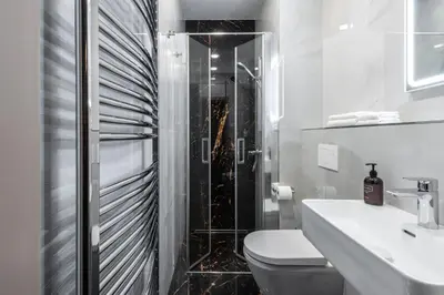 a bathroom with a shower and a toilet and a sink at PAPPAS hotel&studio in Poděbrady
