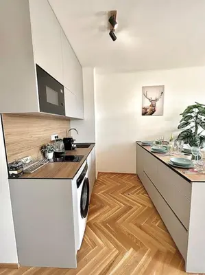 a kitchen with a sink and a stove at NewAPT next to Wenceslas Square in Prague