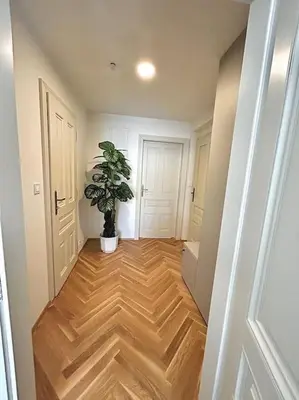a hallway with a potted plant in a room at NewAPT next to Wenceslas Square in Prague