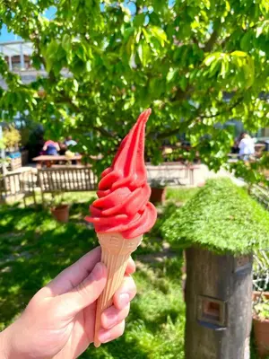 a person holding up a red ice cream cone at Dům ve Vraňanech in Mělník