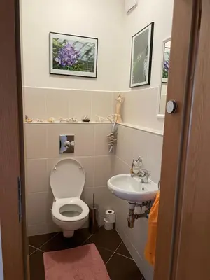 a bathroom with a toilet and a sink at Nádherný byt v krásném prostředí in Prague