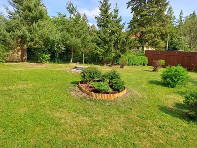 a garden with two plants in a yard at Rekreační dům in Dobříš
