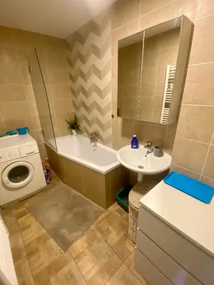 a bathroom with a sink and a washing machine at Doma na Lipníku-private country house, homestay in Lipník