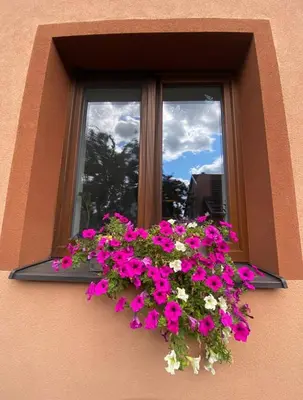 a window with a pot of pink and white flowers at Doma na Lipníku-private country house, homestay in Lipník