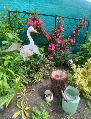 a bird standing in a garden with flowers at Doma na Lipníku-private country house, homestay in Lipník