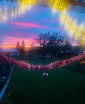 a view of a yard with lights and flowers at Doma na Lipníku-private country house, homestay in Lipník