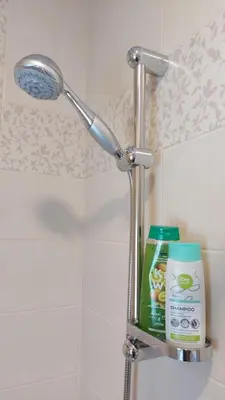a shower head and a shelf in a bathroom at Apartmány U Obory in Nechánice