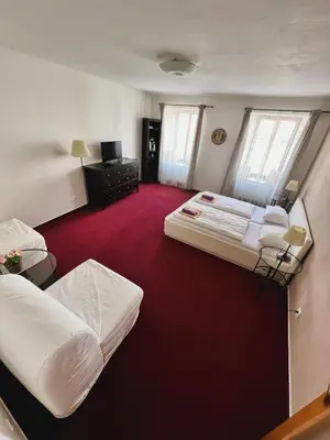 a room with two beds and a red carpet at hotel Florian Sedlčany in Sedlčany