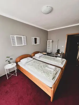 two beds in a bedroom with a red carpet at hotel Florian Sedlčany in Sedlčany