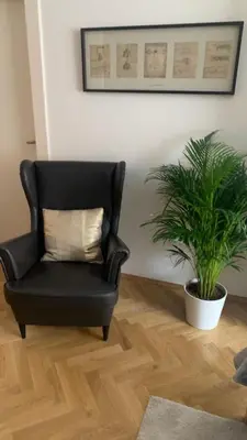 a black chair in a living room with a plant at Anenska by Charles Bridge 3 in Prague