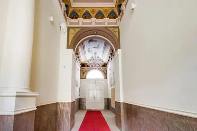 a hallway with a white door and a red carpet at Urban downtown studio in Prague