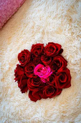 a heart shaped bouquet of red roses on a blanket at Moonlight Deluxe Suite in Prague