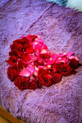 a pile of red roses laying on a purple blanket at Moonlight Deluxe Suite in Prague