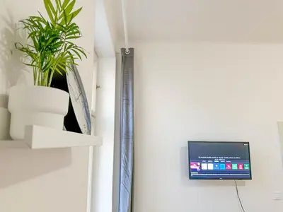 a room with a plant and a tv on a wall at Stylish Apartment Next To Wenceslas Square in Prague