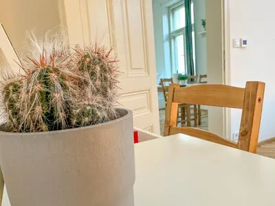 a plant in a pot sitting on a table at Stylish Apartment Next To Wenceslas Square in Prague