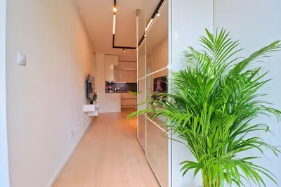a hallway with a potted plant in a house at The Peony Apartment in Smichov, Prague 5 in Prague