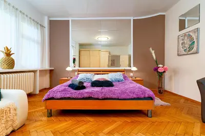 a bedroom with two cats laying on a purple bed at Kingdom of Skylight in Prague
