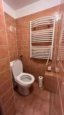 a bathroom with a toilet in a brick wall at Prague Castle Garden Residence in Prague