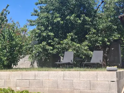 two chairs sitting in the grass under a tree at Záhradní chata Kbelská 335 in Prague