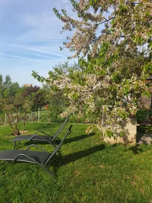two lawn chairs sitting in the grass under a tree at Záhradní chata Kbelská 335 in Prague
