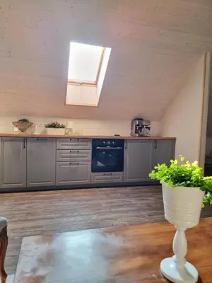a kitchen with gray cabinets and a vase with a plant at Apartmán u Stef in Borotice
