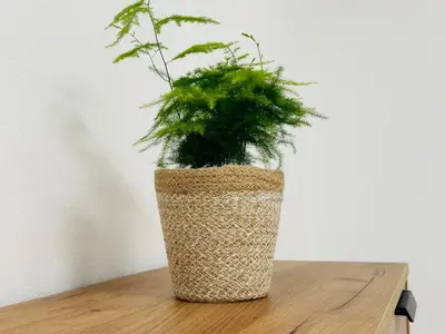 a plant in a wicker vase sitting on a table at Útulný apartmán v klidné části Benešova in Benešov