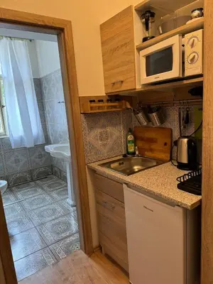 a small kitchen with a sink and a microwave at Apartments Bouquet in Prague