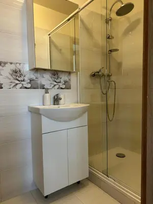 a bathroom with a sink and a shower at Apartments Bouquet in Prague