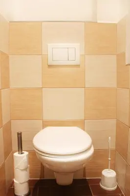 a bathroom with a white toilet in a room at Modern Apartment Ve Smečkách 28 in Prague