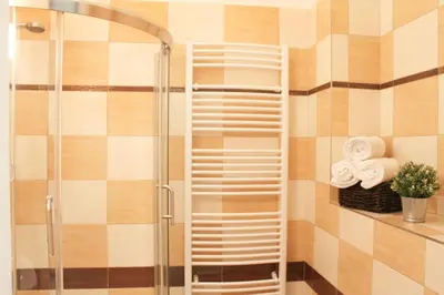 a shower with a white ladder in a bathroom at Modern Apartment Ve Smečkách 28 in Prague