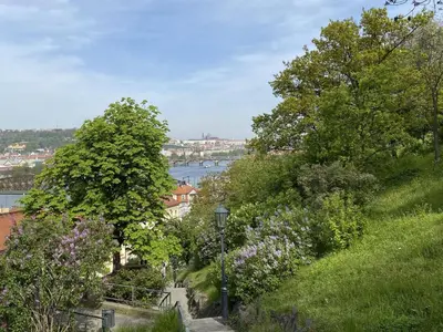 a view of a river from a hill with trees at Apartment Old Town home-2 by Interhome in Prague