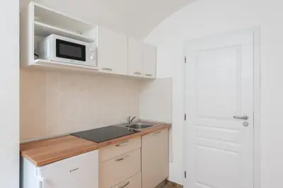 a small kitchen with a sink and a microwave at Milano Apartment in Prague
