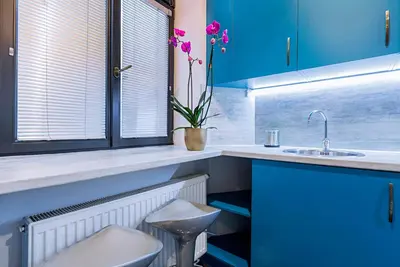 a bathroom with blue cabinets and a sink and purple flowers at Charming Apartment in Historic Old Town in Prague