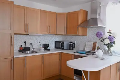 a kitchen with wooden cabinets and a white counter top at bohemian symphony in Prague