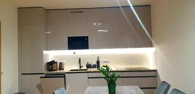 a kitchen with white cabinets and a table with a plant at Vikys Apartment in Prague